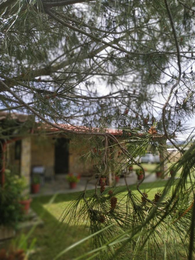 Konaki Guesthouse Ormos Panagias Exterior photo